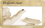 hojení ran